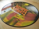 Nuclear Assault ?– Survive Vinyl Record LP Picture Disc FLAG21P 1988 UK