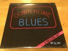 DOWN HOME BLUES: 2 X LP Albert & BB King, Jimmy Reed, ZZ Hill, Johnny Winter NEW