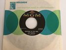 Lou Christie / (Rare censored press) Rhapsody In The Rain / 45 & MGM slv / Mint