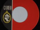 DEE DEE SHARP: Ride / The Night US Cameo Orig Blank Label Error Soul 45 NM-