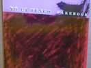 YO LA TENGO Fakebook LP CITY SLANG 1990 GER orig+inner SLANG 003 IRA KAPLAN