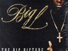 Big L - The Big Picture (1974 - 1999) '00 2xLP US ORG  EX/EX