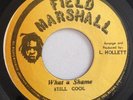 STILL COOL - WHAT A SHAME - FIELD MARSHALL ( ROOTS 7 )