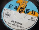 ? THE WARRIOR SENSATIONS 69 CAMEL UK DON JUAN ROCKSTEADY SKA REGGAE 7