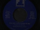 CAPPRA & DEVOE: You Are Everything To Me 45 (close to M-, no PS, Boogie)
