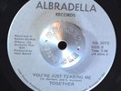 MODERN SOUL BOOGIE 45 - TOGETHER - YOU'RE JUST TEASING ME Albradella M- Hear