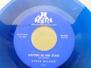 STEVE WILSON & group doo-wop 45 WRITTEN IN THE STARS VG++ Pamela BLUE vinyl pc51
