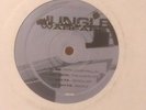 General Degree-Papa Lover Rollin/Wots My Code-Dubplate/Shy FX-45 Roller 12