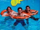 The Monkees-Pool It  Vinyl / 12