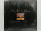 NEW FOUND GLORY - Nothing Gold Can Stay LP 2002 US ORIG Yellow Vinyl 0723/1000