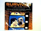 Eye Of The Tiger 12in 1st (Survivor - 1982) TA 2411 (ID:15422)