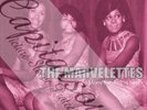 60S MOD SOUL STATESIDE THE MARVELETTES TOO MANY FISH IN THE SEA PICTURE SLEEVE