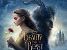 BEAUTY & THE BEAST: THE SONGS / VARIOUS NEW VINYL