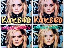 ORIGINAL ANDY WARHOL ART COVER DEBBIE HARRY BLONDIE VINYL LP SET OF FOUR EX RARE