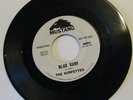1964 Surf Promo THE SURFETTES Sammy The Sidewalk Surfer & Blue Surf VG/VG+ #3001