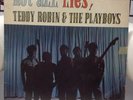 Teddy Robin & The Playboys Not All Lies 1967 Mono Diamond LP-1030 Hong Kong LP