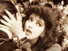 Kate Bush 'Remastered In Vinyl Vol. 1' Deluxe 4 x 12