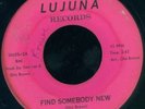 OTIS BROWN Find Somebody New CHICAGO SOUL 45 on LUJUNA VG+
