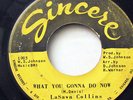 LASAWN COLLINS-WHAT YOU GONNA DO NOW ON SINCERE NORTHERN 45