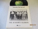 SUNDOWN PLAYBOYS..SATURDAY NITE SPECIAL.. UK DEMO  PICTURE SLEEVE ..APPLE No 44