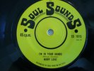 northern soul SOUL SOUNDS SS1015. MARY LOVE 'you turned my bitter into sweet'