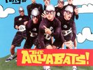 THE FURY OF THE AQUABATS   LIMITED EDITION 2 x GREEN ETCHED VINYL LP   *NEW*