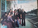 Lynyrd skynyrd pronounced leh-nerd skin-nerd vinyl