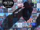 Pink Floyd The Best of Pink Floyd: A Foot In the Door 180g Vinyl 2LP (New)