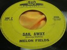 Hear Rare Private Sunshine Psych Pop 45: Melon Fields  People It's Raining on AW