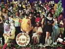 FRANK ZAPPA WE'RE ONLY IN IT FOR THE MONEY (2018 RSD) NEW PICTURE DISC VINYL LP