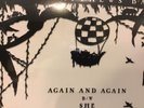Dave Matthews Band DMB 2018 Black Friday RSD exclusive 7” Again and Again / She