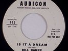 BILL BAKER: Is It A Dream AUDICON Doo Wop, Five Satins Rare Promo 7” 45 MP3