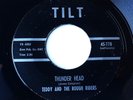 Rockabilly Surf TEDDY & THE ROUGH RIDERS Thunder Head / Tomahawk TILT 45 VG+