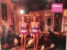 The Catherine Wheel Like Cats and Dogs Vinyl BF RSD Record Store Day 2018 NEW