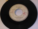 RARE 45 THE BEATTLES (Beatles Mis-Spelt) Please Me / Ask Me Why VEE JAY PROMO