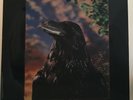 The Stranglers - The Raven - Limited Edition LP (UAG 30262) UK 1st Press