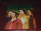 THE BEATLES - ALTERNATE RARITIES - RARE V LTD PIC DISC ALBUM NO TMOQ TMQ TAKRL