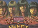THE  SWEET  SOUTH AFRICA  2  LP   STRUNG  UP