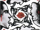 Red Hot Chili Peppers - Blood Sugar Sex Magik - LP Vinyl - New