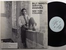 BILLY BANG'S SURVIVAL ENSEMBLE New York Collage ANIMA LP promo
