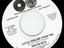 Marvin Gaye - Tamla 54138 - Little Darling, I Need You LISTEN