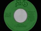Sweet Soul/Funk 45 - Taack - The Fall - SRI - mp3