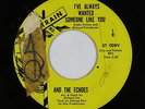 Northern Soul 45 - And The Echoes - I've Always Wanted - Soultrain - mp3