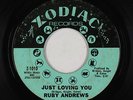 Northern Soul 45 - Ruby Andrews - Just Loving You - Zodiac - mp3