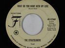 Northern Soul 45 - Stratoliners - What Do You Want With My Love - Federal - mp3