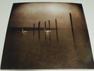 Om Conference Of The Birds LP NEW SEALED stoner metal sleep doom high on fire