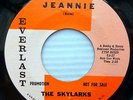 SKYLARKS doo-wop EVERLAST mint minus 45 JEANNIE b/w EVERYBODY'S GOT SOMEBODY D55