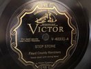 COUNTRY FLOYD COUNTY RAMBLER Victor 403331 Step Stone/Aunt Dinah Quilting Pty E+