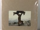 Shellac - Dude Incredible LP (Vinyl, Sep-2014, Touch & Go (Label)) NEW