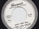 SAM And BILL * I'll Try * 1967 NORTHERN SOUL 45 * Listen To It